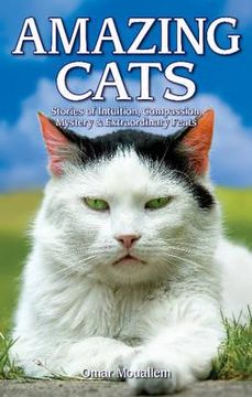 portada Amazing Cats: Stories of Intuition, Compassion, Mystery & Extraordinary Feats (in English)