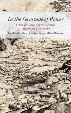 portada In the Servitude of Power: Energy and Civilization Through the Ages 