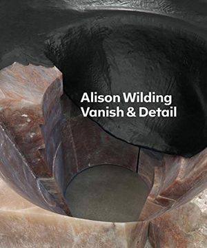 portada Alison Wilding: Vanish & Detail (Tate Britain, London: Exhibition Catalogues) (in English)