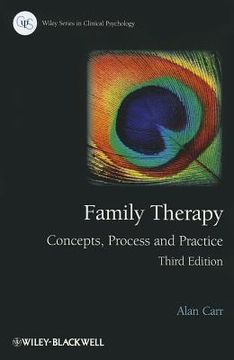 portada family therapy: concepts, process and practice (en Inglés)