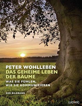 portada Das Geheime Leben der Bäume: Was sie Fühlen, wie sie Kommunizieren. Der Bildband. Mit dem Vollständigen Text der Originalausgabe (in German)