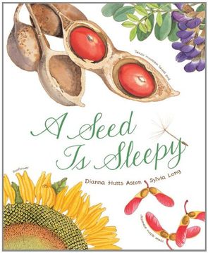 portada A Seed Is Sleepy (en Inglés)