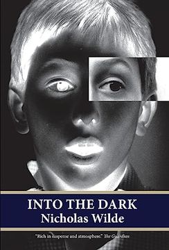 portada Into the Dark (en Inglés)