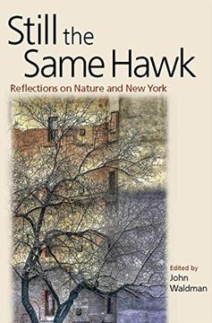 portada Still the Same Hawk (Fordham University Press) (en Inglés)