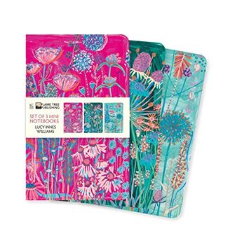 portada Lucy Innes Williams set of 3 Mini Notebooks (Mini Notebook Collections) 