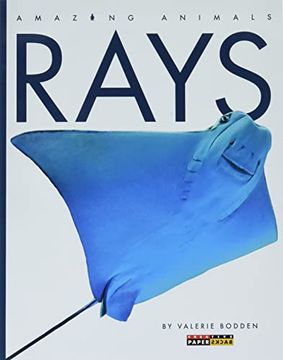 portada Rays (Amazing Animals) (en Inglés)