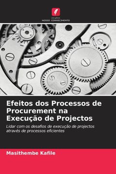 portada Efeitos dos Processos de Procurement na Execução de Projectos