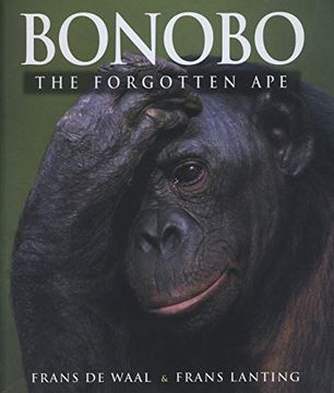 portada Bonobo: The Forgotten ape (en Inglés)