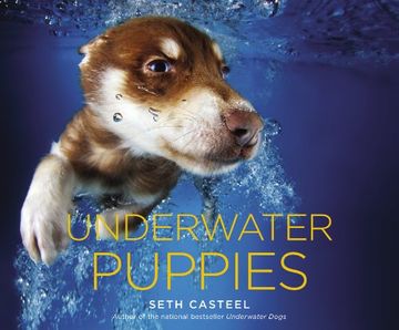 portada Underwater Puppies
