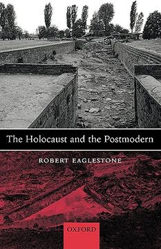 portada the holocaust and the postmodern (in English)