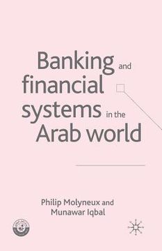 portada Banking and Financial Systems in the Arab World (en Inglés)