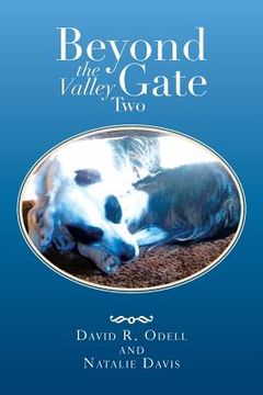 portada Beyond the Valley Gate Two (en Inglés)