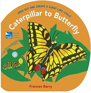 portada Caterpillar To Butterfly