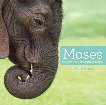 portada Moses: The True Story of an Elephant Baby (en Inglés)