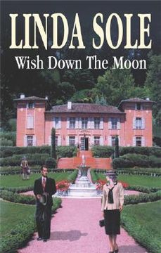 portada wish down the moon (en Inglés)