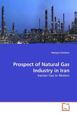 portada Prospect of Natural Gas Industry in Iran: Iranian Gas in Motion