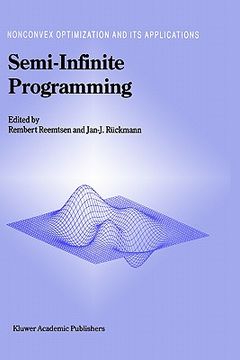 portada semi-infinite programming (en Inglés)