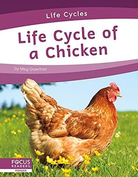 portada Life Cycles: Life Cycle of a Chicken (en Inglés)