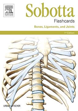 portada Sobotta Flashcards Bones, Ligaments, and Joints: Bones, Ligaments, and Joints: (en Inglés)