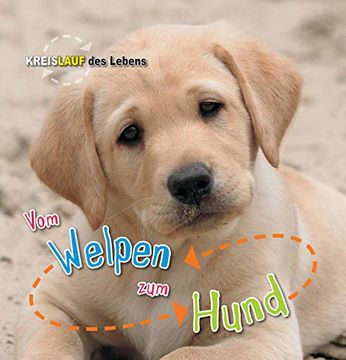 portada Vom Welpen zum Hund, Kreislauf des Lebens (in German)