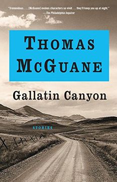 portada Gallatin Canyon (Vintage Contemporaries) (en Inglés)