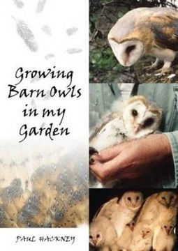portada Growing Barn Owls in My Garden (en Inglés)