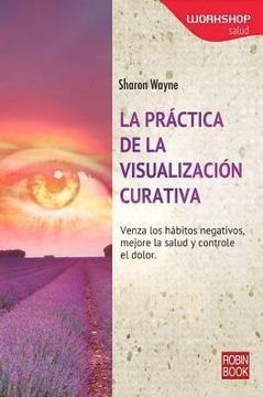portada La Práctica de la Visualización Curativa (Workshop (Robin Book)) (in Spanish)