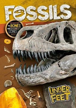 portada Fossils (Under our Feet) (en Inglés)