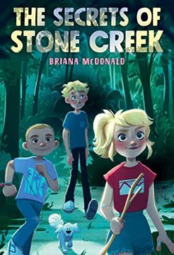 portada The Secrets of Stone Creek (in English)