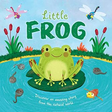 portada Nature Stories: Little Frog: Padded Board Book (en Inglés)