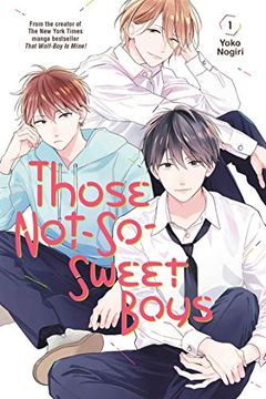 portada Those Not-So-Sweet Boys 1 (en Inglés)
