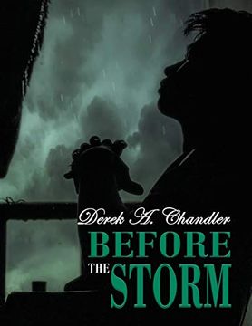 portada Before the Storm (in English)