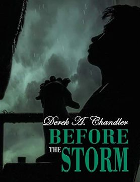 portada Before the Storm (en Inglés)