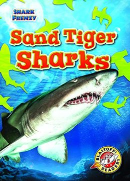 portada Sand Tiger Sharks (Shark Frenzy: Blastoff Readers. Level 3) (en Inglés)
