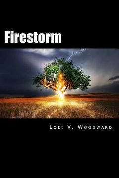 portada Firestorm: Book One of the Sokucha Stones Trilogy (en Inglés)