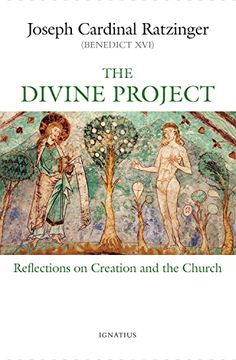 portada The Divine Project: Reflections on Creation and the Church (en Inglés)