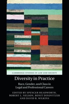 portada Diversity in Practice: Race, Gender, and Class in Legal and Professional Careers (Cambridge Studies in law and Society) 