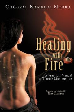 portada Healing with Fire