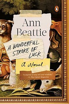 portada A Wonderful Stroke of Luck: A Novel 