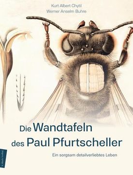 portada Die Wandtafeln des Paul Pfurtscheller (in German)