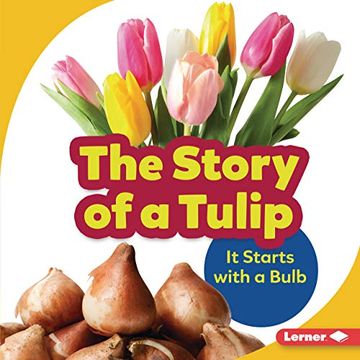 portada The Story of a Tulip: It Starts With a Bulb (Step by Step) (en Inglés)