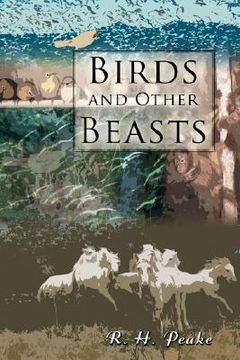 portada birds and other beasts
