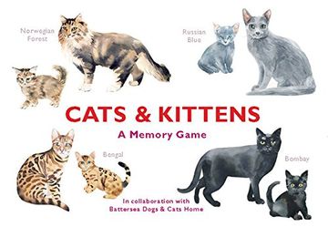portada Cats & Kittens: A Memory Game (in English)