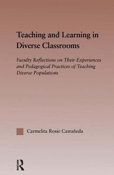 portada teaching and learning in diverse classrooms: faculty reflections on their experiences and pedagogical practices of teaching diverse populations (en Inglés)