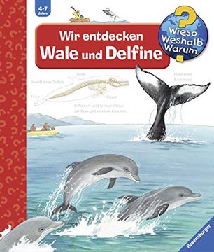 portada Wir entdecken Wale und Delfine (in German)