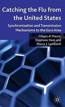 portada Catching the flu From the United States: Synchronisation and Transmission Mechanisms to the Euro Area (in English)