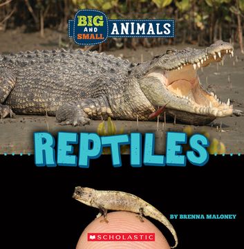 portada Reptiles (Wild World: Big and Small Animals) (en Inglés)