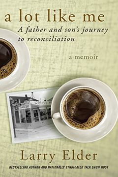 portada Lot Like Me: A Father and Son's Journey to Reconciliation (in English)