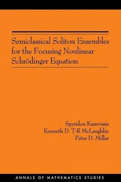 portada Semiclassical Soliton Ensembles for the Focusing Nonlinear Schrödinger Equation (Am-154) (Annals of Mathematics Studies) (en Inglés)