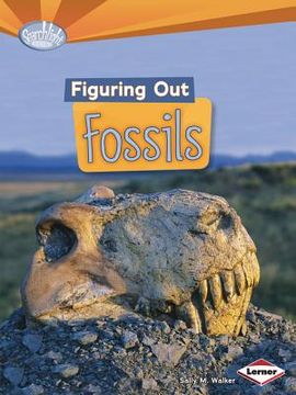 portada figuring out fossils (en Inglés)
